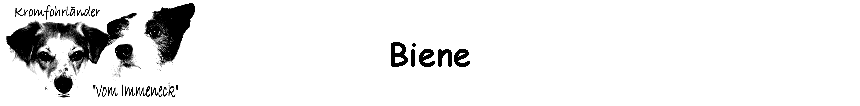 Biene