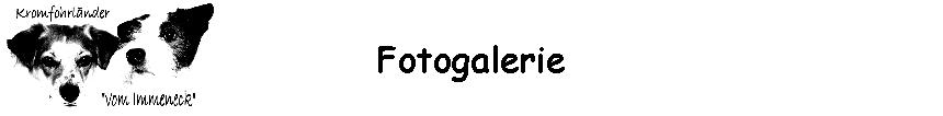 Fotogalerie